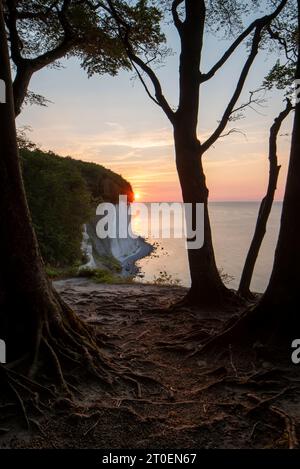 Wissower Klinken, falaises de craie, lever de soleil, île de Rügen, Sassnitz, Mecklenburg-Vorpommern, Allemagne Banque D'Images