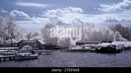 Europe, Allemagne, Mecklembourg-Poméranie occidentale, région de Müritz, région des lacs de Mecklembourg, port de plaisance de Rechlin sur les rives de la rivière Müritz Banque D'Images