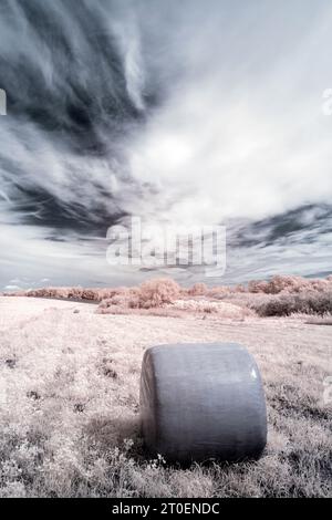 Europe, Allemagne, Mecklembourg-Poméranie occidentale, région de Müritz, région des lacs de Mecklembourg, balles de paille sous ciel nuageux, près de Röbel-Müritz Banque D'Images