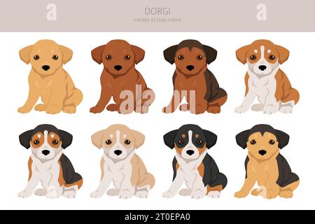 Dorgi clipart. Gallois corgi Teckel mélangé. Ensemble de couleurs de manteau différentes. Illustration vectorielle Illustration de Vecteur