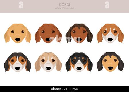 Dorgi clipart. Gallois corgi Teckel mélangé. Ensemble de couleurs de manteau différentes. Illustration vectorielle Illustration de Vecteur