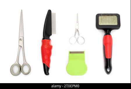 Assortiment de peignes de toilettage pour animaux de compagnie, brosses à poils et ciseaux. Kit de toilettage pour chien et chat, utilisé pour brosser, entretenir, démêler ou détacher la fourrure morte pour chat Banque D'Images