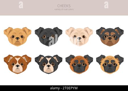 Clipart des joues. Chihuahua Pekingese mix. Ensemble de couleurs de manteau différentes. Illustration vectorielle Illustration de Vecteur