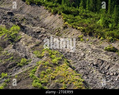 Matinée d'été à Angerleboden, vallée de Bschlabser, Tyrol Banque D'Images