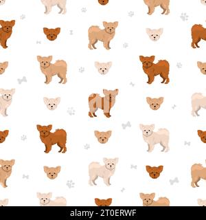 Modèle Pomapoo Seamless. Mélange pour caniche de Poméranie. Ensemble de couleurs de manteau différentes. Illustration vectorielle Illustration de Vecteur
