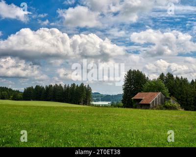 Dans le paysage moraine au-dessus du réservoir de Schongau Lech, au sud de Schongau Banque D'Images