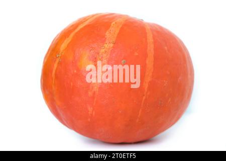 Vue latérale de la citrouille orange rayée de hokkaido (Cucurbita maxima) sur fond blanc Banque D'Images