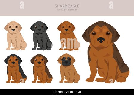 Clipart Sharp Eagle. Shar Pei - mélange Beagle. Ensemble de couleurs de manteau différentes. Illustration vectorielle Illustration de Vecteur