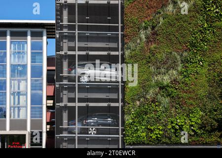 Bottrop, Rhénanie-du-Nord-Westphalie, Allemagne, vernissage mural de façade au parking P+R de la gare de Bottrop. Les plantes sur le mètre carré de 80 Banque D'Images