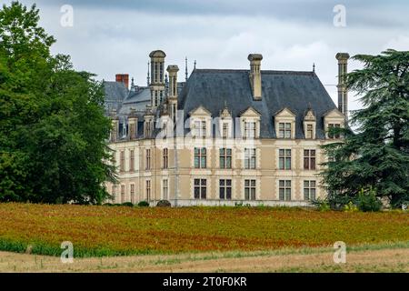 Le château de Beauregard se dresse dans la vallée du Beuvron sur le territoire de la commune française de Cellettes à environ six kilomètres au sud-est de Blois. Le château abrite la Galerie des illustres. Il présente 327 portraits de personnalités importantes de l'histoire de France. Banque D'Images