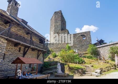 Ramingstein, Château de Finstergrün à Lungau, Salzbourg, Autriche Banque D'Images