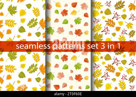 Feuilles d'automne multicolores motifs sans couture, ensemble de feuilles d'érable et de bouleau d'automne, et rowanberry sur fond blanc Illustration de Vecteur