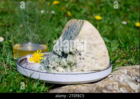 Le fromage de lait de vache bleue Cabrales et le cidre de pomme sont des glasss fabriqués par des agriculteurs ruraux des Asturies, en Espagne, et des pâturages verts de Picos de Europa en arrière-plan Banque D'Images