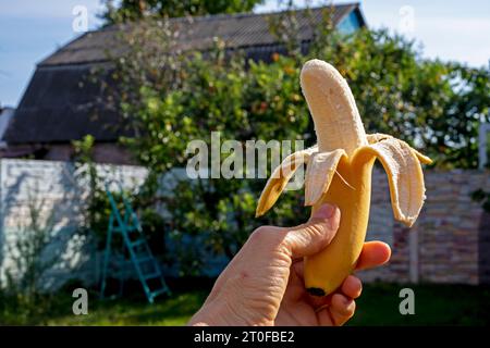 banane pelée à moitié mûre tenue dans la main d'une femme sur fond de jardin Banque D'Images