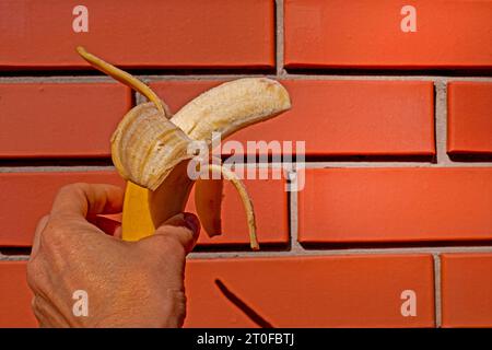 banane pelée mûre tenue par la main d'une femme sur le fond d'un mur de briques Banque D'Images