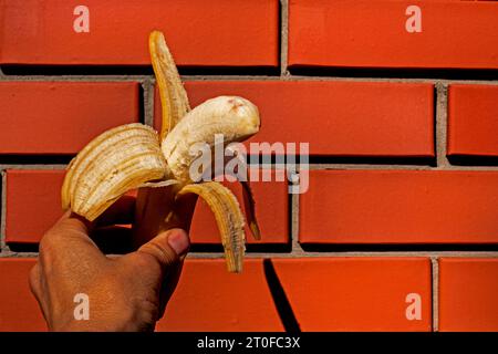 banane pelée mûre tenue par la main d'une femme sur le fond d'un mur de briques Banque D'Images