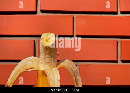 mordez un morceau de banane mûre pelée de la peau contre un fond de mur de briques Banque D'Images