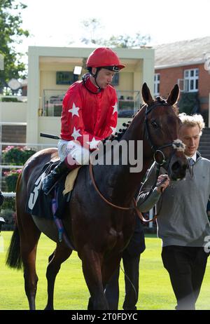 Ascot, Berkshire, Royaume-Uni. 6 octobre 2023. Horse Hampden Park monté par le jockey Oisin Murphy remporte les Heros novice Stakes à l'hippodrome d'Ascot lors du meeting Autumn Racing Friday. Propriétaire Sir Alex Ferguson. Entraîneur Andrew Balding. Éleveur Sir Alex Ferguson. Crédit : Maureen McLean/Alamy Live News Banque D'Images