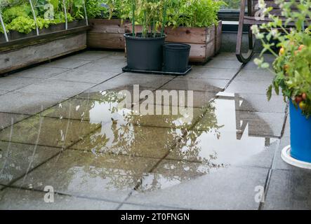 Drain de patio bouché et inondé après une forte pluie. Drainage survolé causant une grande quantité d'eau sur les carreaux. Débouchez la boue ou la saleté dans le drain Banque D'Images