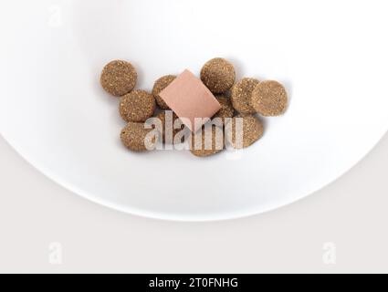 Vermifuge pour chiens ou traitement contre les puces et les tiques dans un plat d'aliments pour animaux de compagnie avec croquettes. Traitement pour les chiens et les chiots pour les vers et les parasites tels que les vers du cœur, hameçon Banque D'Images