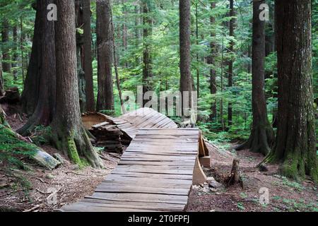 Piste cyclable en forêt en été avec des caractéristiques de randonnée en bois. Promenade en bois courbée avec Rolldown. Forêt tropicale de la Colombie-Britannique avec de grands arbres et des folia luxuriantes Banque D'Images