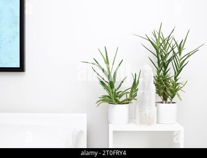 Cristal de sélénite avec des plantes d'aloe vera dans une chambre moderne. Fond de chambre paisible et apaisant pour la spiritualité, la guérison et les chakras. Foc. Sélective Banque D'Images