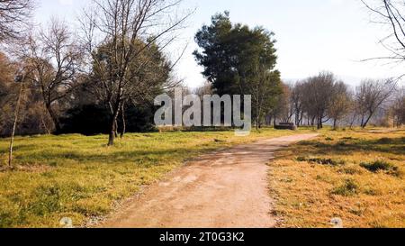 Jardim dos Poetas Garden, ce petit jardin tire son nom de deux frères du XVIe siècle qui étaient poètes et indigènes à Ponte da Barca. Banque D'Images