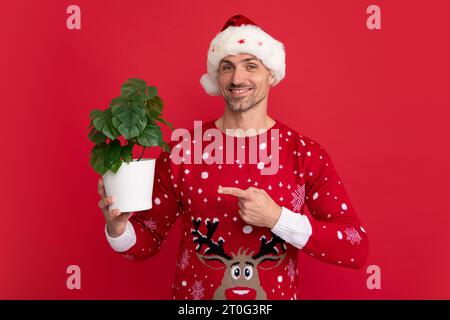 Père Noël tenir pot avec plante. Bel homme dans un pull d'hiver et chapeau de Père Noël sur fond rouge studio Banque D'Images