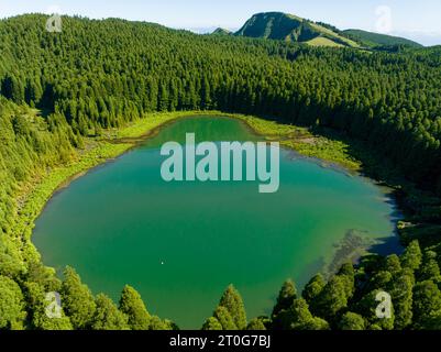 Vue aérienne de la lagune 'Lagoa do Canario' entourée d'une forêt verdoyante située à Sao Miguel, Açores, Portugal. Banque D'Images