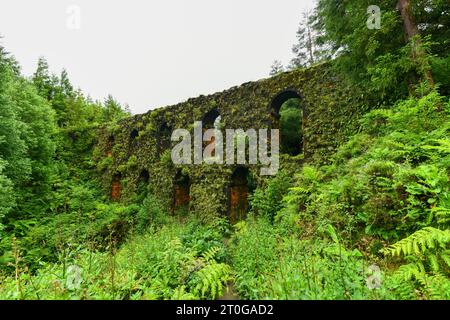 Flore verte envahissant l'aqueduc Muro das Nove Janelas aux Açores, Portugal Banque D'Images