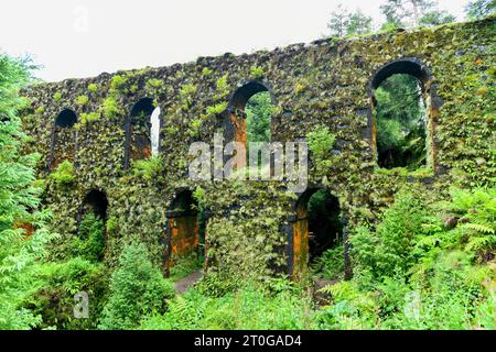 Flore verte envahissant l'aqueduc Muro das Nove Janelas aux Açores, Portugal Banque D'Images