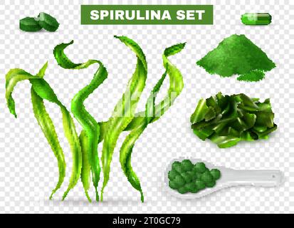 Spiruline ensemble réaliste avec capsules de supplément d'algues comprimés poudre verte hachée algues séchées transparent illustration vectorielle de fond Illustration de Vecteur