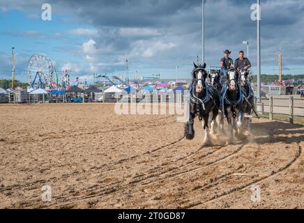 2023 Virginia State Fair, Doswell, va - les spectateurs regardent la démonstration de chevaux Clydesdale. Banque D'Images