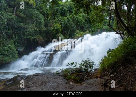 Belle cascade dans la forêt tropicale avec de l'eau claire. Ruisseau courant vite dans la forêt verte pendant la saison des pluies. Paysage tranquille et paisible de Banque D'Images