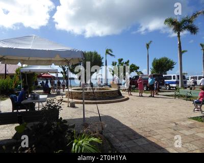 Voyage et tourisme des Caraïbes, îles et plages, animaux et plantes. Banque D'Images