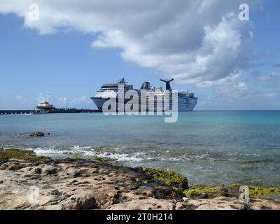 Voyage et tourisme des Caraïbes, îles et plages, animaux et plantes. Banque D'Images