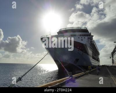 Voyage et tourisme des Caraïbes, îles et plages, animaux et plantes. Banque D'Images