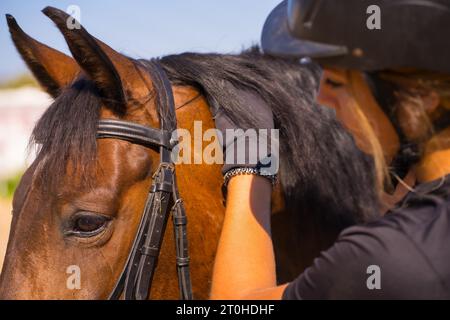 Caucasienne blonde fille à cheval de course d'un cheval brun, vêtue de cavalier noir avec un chapeau de sécurité Banque D'Images