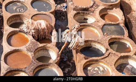 Fès, Maroc - 10 septembre 2022 : teinture du cuir dans une tannerie traditionnelle. Des hommes travaillant comme tanneurs dans les pots de teinture des tanneries de cuir. Les fosses de bronzage le sont Banque D'Images