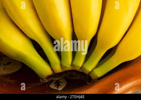 Goiânia, Goias, Brésil – 06 octobre 2023 : détail de quelques bananes dans le bol à fruits. Banque D'Images