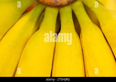 Goiânia, Goias, Brésil – 06 octobre 2023 : détail de quelques bananes dans le bol à fruits. Banque D'Images