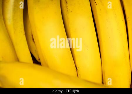 Goiânia, Goias, Brésil – 06 octobre 2023 : détail de quelques bananes dans le bol à fruits. Banque D'Images