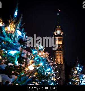 Arbres de Noël sur la Colline du Parlement, Tour de la paix derrière, Ottawa, Ontario, Canada Banque D'Images