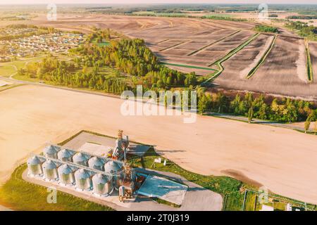 Grenier moderne, complexe de séchage de grain, silos de grains commerciaux ou de semences dans un paysage rural de printemps ensoleillé. Silos de maïs, terminal de grain intérieur, grain Banque D'Images