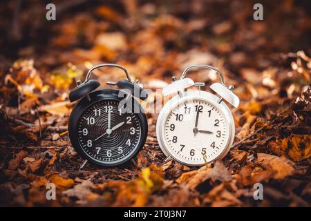 Augsbourg, Bavière, Allemagne - 7 octobre 2023 : image symbolique changement de temps de l'heure d'été à l'heure d'hiver, deux réveils avec 2 heures et 3 heures au milieu des feuilles d'automne *** Symbolbild Zeitumstellung von Sommerzeit auf Winterzeit, Zwei Wecker mit 2 Uhr und 3 Uhr inmitten von Herbst Blättern Banque D'Images