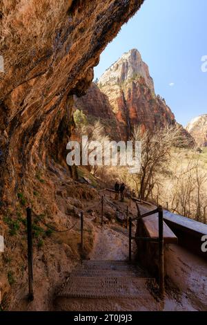Vue sur le canyon de Zion depuis la piste Weeping Rock dans le parc national de Zion Banque D'Images