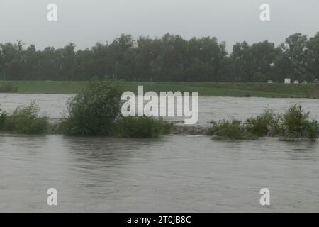 Diepoldsau, Suisse, 28 août 2023 forte inondation sur le rhin pendant une averse de pluie Banque D'Images
