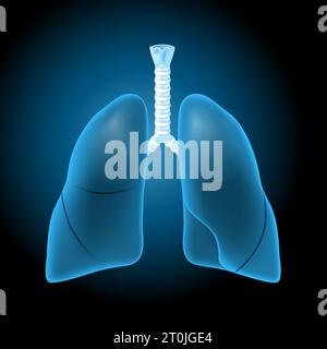 Poumons avec effet lumineux. Poumons bleus transparents réalistes sur fond sombre. Système respiratoire humain. Illustration pour la conception de soins de santé. Vecteur d Illustration de Vecteur