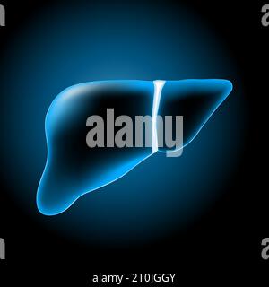 Foie avec effet lumineux. Foie bleu transparent réaliste sur fond sombre. La fonction hépatique. Système hépatobiliaire humain. Image pour les soins de santé des Illustration de Vecteur