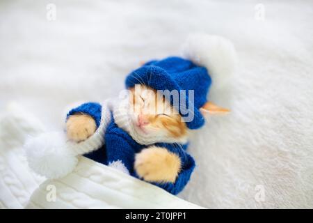 Bébé chat dans chandail tricoté et hat. Chaton nouveau-né gingembre dormir sous une couverture de laine. Journée d'hiver douillet avec l'animal à la maison. La sieste. Costum Noël Banque D'Images